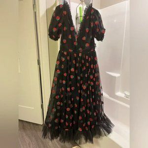 Lirika Matoshi Strawberry Dress SIZE M